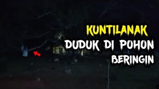 🔴 682- [ LIVE ] KUNTILANAK DUDUK DI POHON BERINGIN