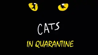 CATS IN QUARANTINE