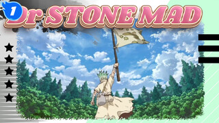 [Dr.STONE] Mulai Dr.STONE Baru Milikmu_1