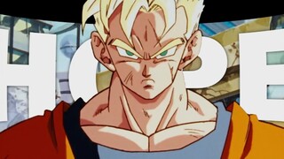 "Gohan, cậu đã làm rất tốt."