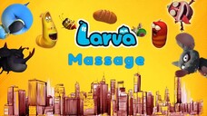 LARVA S3 Episode 334