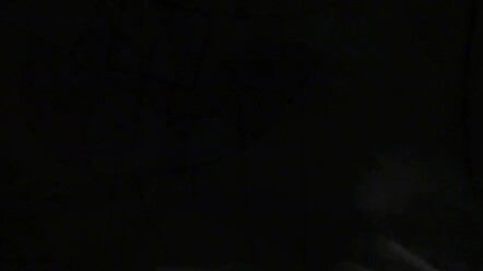 Pak satpam memakamkan kucing patroli yang ia besarkan sendiri, sekarang aku sudah tidak punya kucing