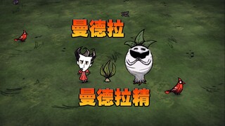 饥荒联机版： 曼德拉草真的很重要吗？