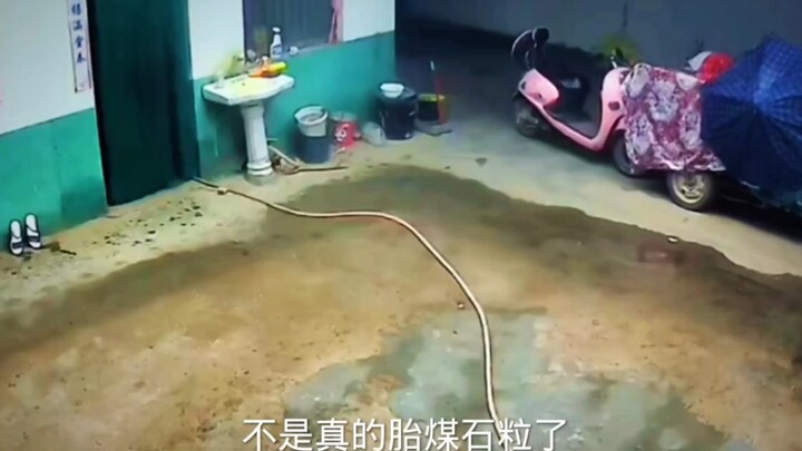 Teammate: One more look and I’ll blow up!