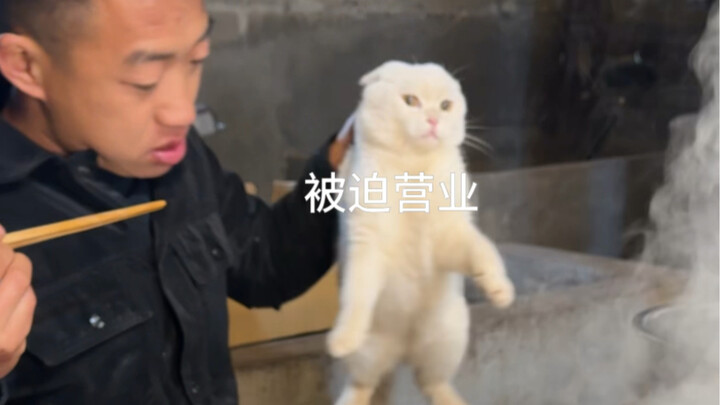 Ayo datang menemani tuan muda bermain salju