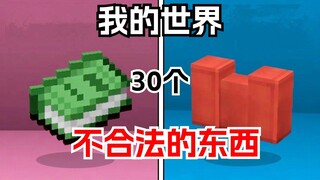 มายคราฟ : 30 สิ่งที่ผิดกฎหมาย