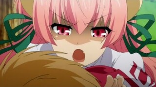 Seikoku No Dragonar - A lot of Nerve ignoring me