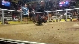 Junjun pe skywalker f1