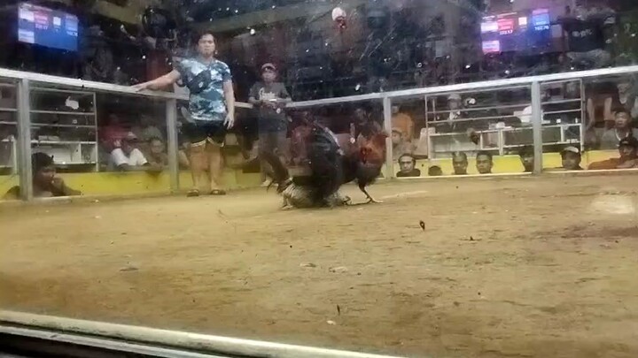 Junjun pe skywalker f1