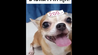 น้อนน่ารักจังเลยยย