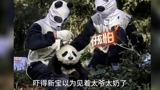 Taotao: Can you believe I saw a ghost when I was a kid? Xinbao: I believe it—I've seen one too.