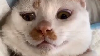 Meski hidup terasa sulit, jangan pernah menyerah pada diri sendiri!