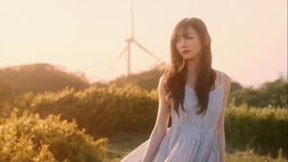 我们都有过同一个夏天，青春就此起风了...