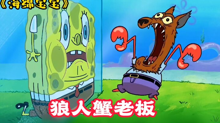 Một căn bệnh truyền nhiễm bùng phát ở Lâu đài Bikini. Ông Krabs biến thành người sói để chữa trị cho