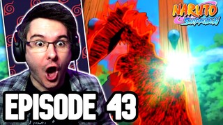 JINCHURIKI TRANSFORMATION?! | Naruto Shippuden Episode 43 REACTION | Anime Reaction