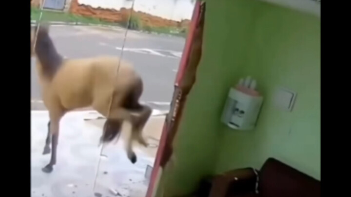 Lari takut, aku cepat-cepat 😭