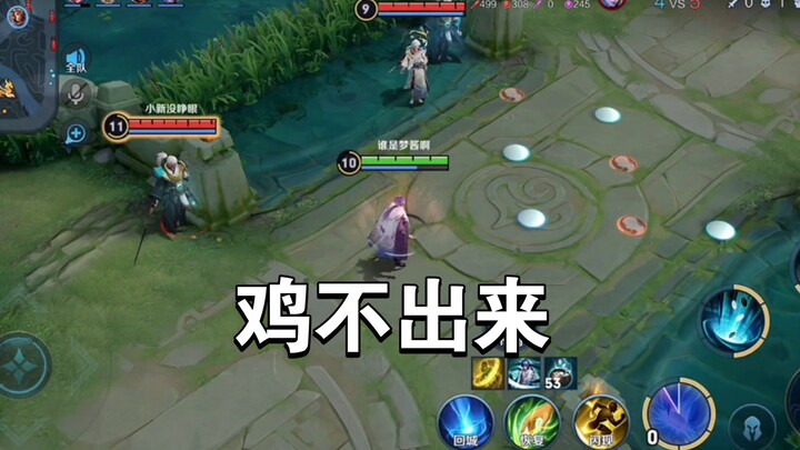 الدجاجة لا تخرج، الأمر مزعج للغاية