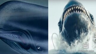 Disney's Pinocchio: Monstro comparison.