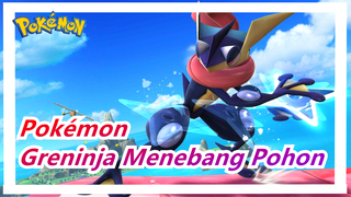 [Pokémon] Greninja: Pohon-pohon Carlos Sudah Kutebang Semuanya