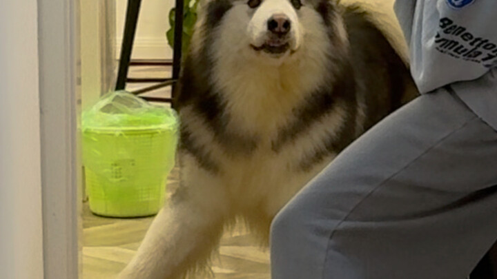 Nilai emosional langsung melonjak maksimal!