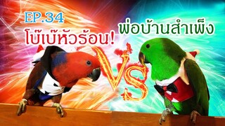 รีวิวนกแก้ว : โบ๊เบ๊หัวร้อน พ่อบ้านสำเพ็ง น้องบลู??? EP.34