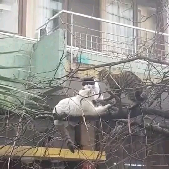 Đây?