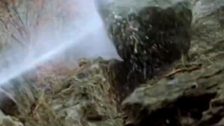 "R-star produced, it's a top quality product"