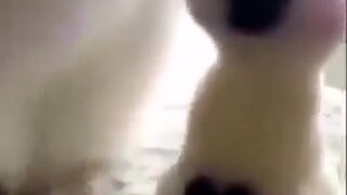 Hahahaha dễ thương quá, gen của mẹ mạnh thật