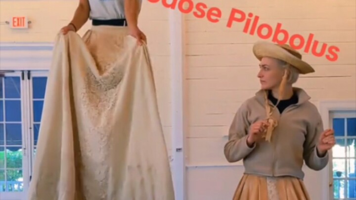 Phu nhân Bát Xích