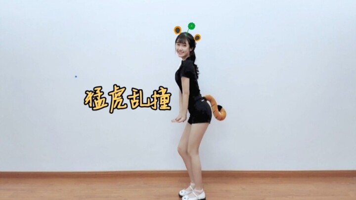 [糖果机长]限定!猛虎乱撞❤