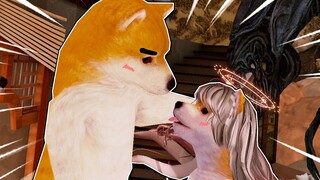 ฉันรวมเหล่าคนชอบตามตื๊อและแมวเหมียวใน VRchat มาต่อสู้กันครั้งใหญ่