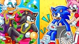 Sonic mengalami kecelakaan saat menyelamatkan Shadow. Shadow menemukan emas tersebut tetapi tidak be