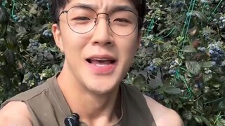 怪不得山东没有霸总，男生卖蓝莓，一开口天塌了！