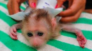 Keep Hygiene!! Cleans up a diaper for tiny adorable Luca & puts on a new diaper