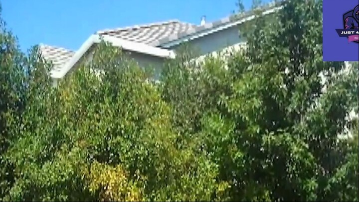 Cười mỗi ngày cùng tôi ! #videohaihuoc