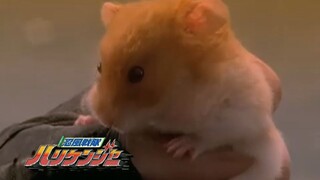 Siêu Nhân Cuồng Phong: Tập 12 - Khối Thép, Cha Và Con Gái ( Vietsub )