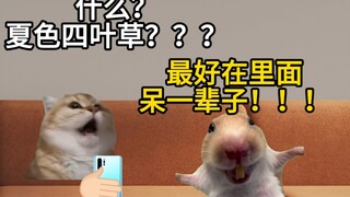 سأعطيك خمسة ملايين لتقضي عامًا كاملًا في لعبة معينة!