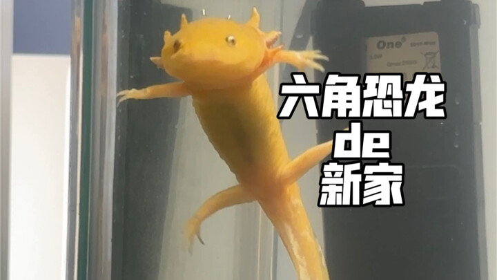 Good News: MaiMai’s Finally Found Love!