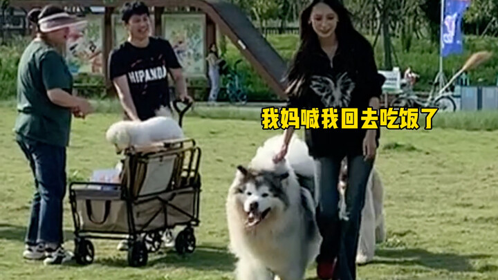 Bawa anjing main dua jam, satu jam setengahnya cuma buat nyari anjing.