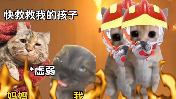 Ngã xuống trong bóng tối để che chở bông hoa đẹp nhất.