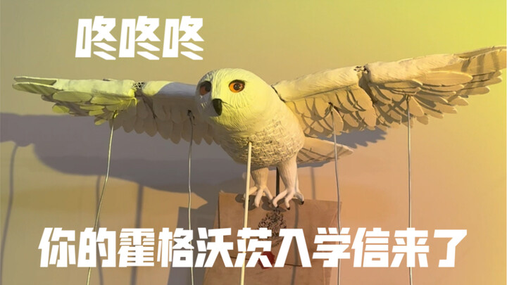 Becoming Hedwig to deliver the admission letter to my sis ˊ_>ˋ