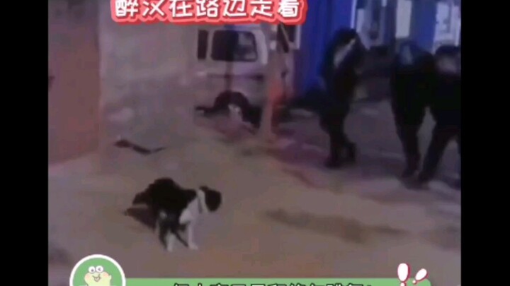 مع أن الجميع ثملون، هناك من يجبر الكلب على الرقص... الكلب: بجد بس شكرًا يا عم!