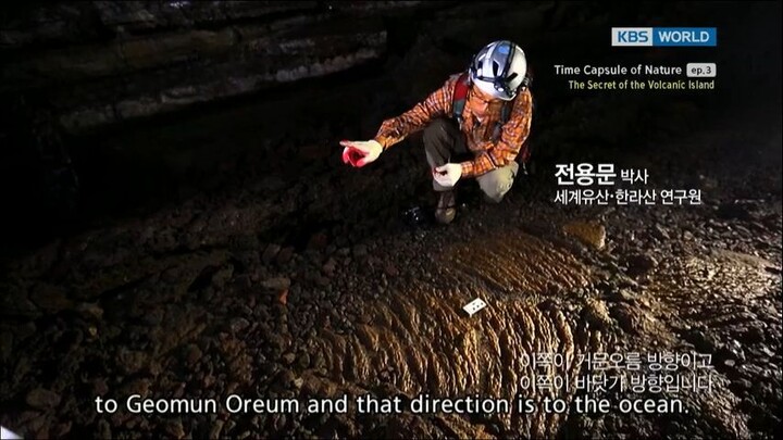 Time Capsule Of Nature Ep. 3