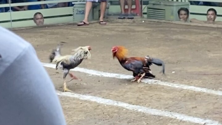 Bulik Vs Dalusapi, LUCENA VS SARIAYA 110K PARADA #2HITS ULUTAN
