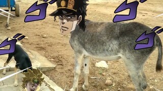 迪奥vs驴太郎