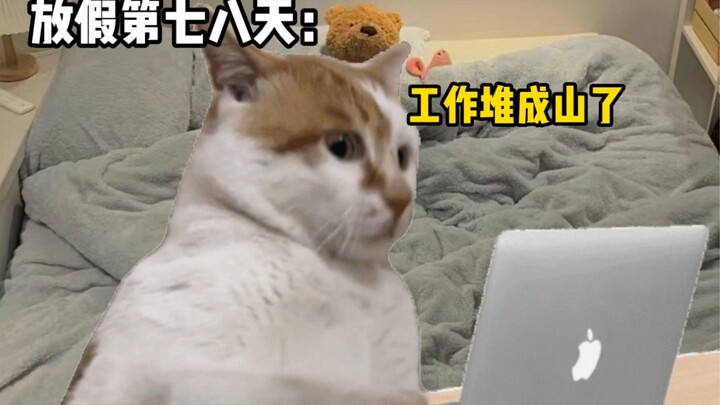 Nghỉ lễ 8 ngày belike