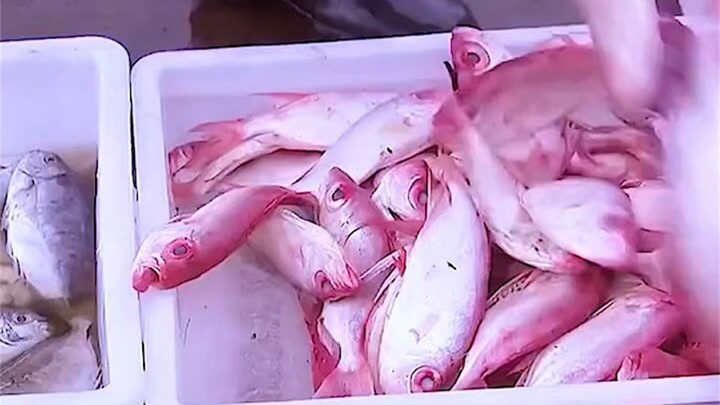 Chàng trai nghèo nhặt cá phát hiện cơ hội kinh doanh, không ngờ trở thành tỷ phú