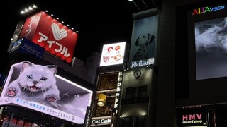 东京新宿街头那只3D猫，已经开始去隔壁邻居家串门了……