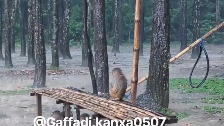 के हुँदैछ यस्तो