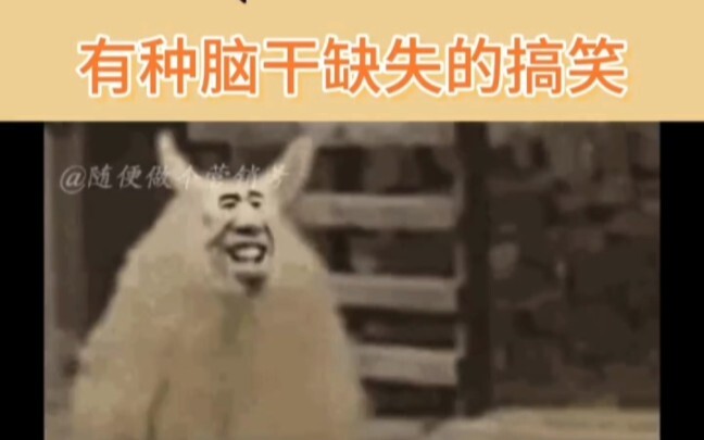 Merchant: Just tell me—how healthy is it? #Hamster